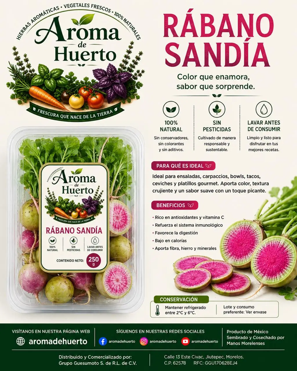 Rábano Morado